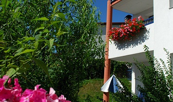 Sommergefühle zum Entspannen in den Classic-Apartments